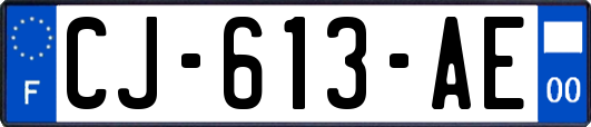 CJ-613-AE