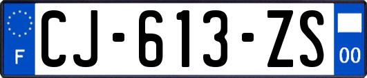 CJ-613-ZS