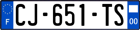 CJ-651-TS