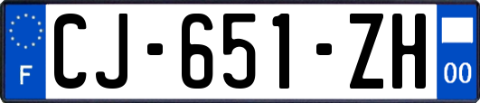 CJ-651-ZH