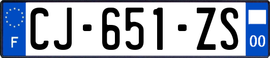 CJ-651-ZS