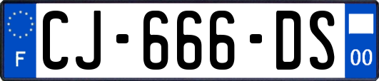 CJ-666-DS
