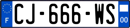 CJ-666-WS