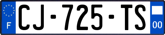 CJ-725-TS