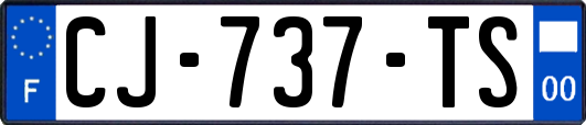 CJ-737-TS