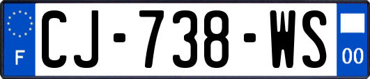 CJ-738-WS