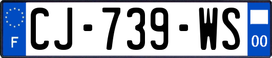 CJ-739-WS