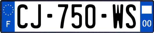 CJ-750-WS