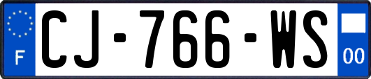 CJ-766-WS