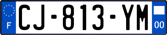 CJ-813-YM