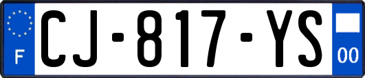 CJ-817-YS