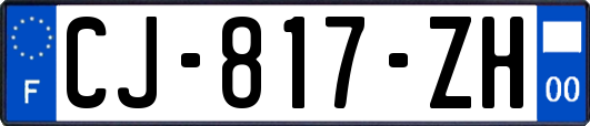 CJ-817-ZH