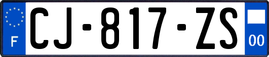 CJ-817-ZS