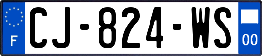 CJ-824-WS