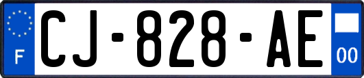 CJ-828-AE