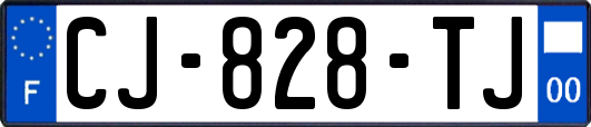 CJ-828-TJ