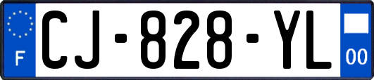 CJ-828-YL