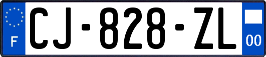 CJ-828-ZL