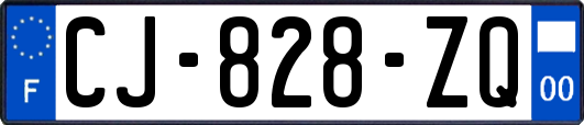 CJ-828-ZQ