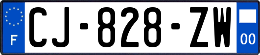 CJ-828-ZW