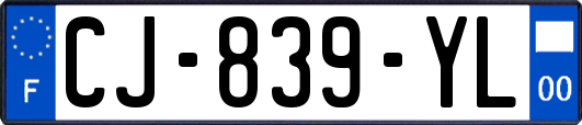 CJ-839-YL