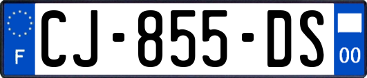 CJ-855-DS