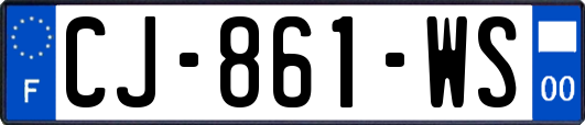 CJ-861-WS