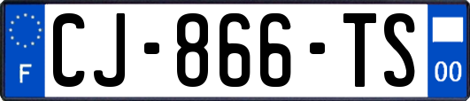 CJ-866-TS