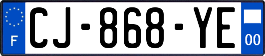 CJ-868-YE