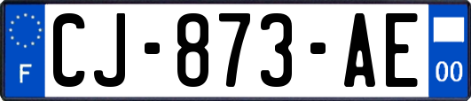 CJ-873-AE