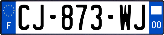 CJ-873-WJ