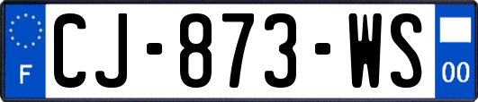 CJ-873-WS