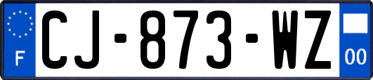 CJ-873-WZ