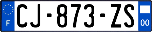 CJ-873-ZS