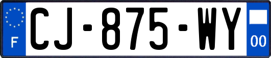 CJ-875-WY