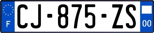 CJ-875-ZS