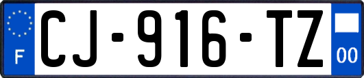 CJ-916-TZ