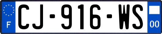 CJ-916-WS