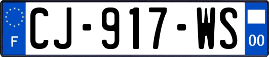 CJ-917-WS