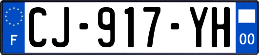 CJ-917-YH