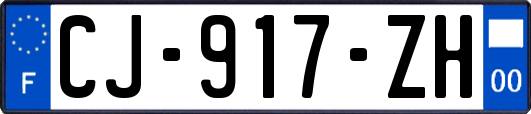 CJ-917-ZH