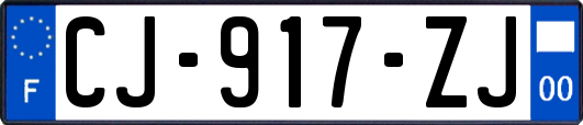 CJ-917-ZJ