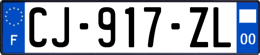 CJ-917-ZL