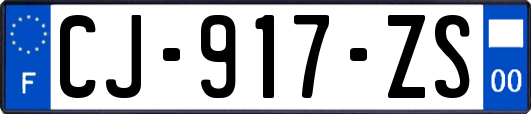 CJ-917-ZS