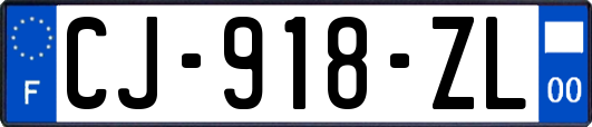 CJ-918-ZL