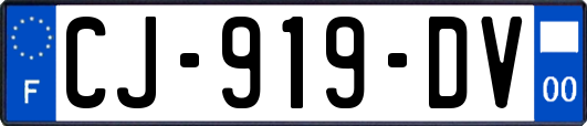 CJ-919-DV