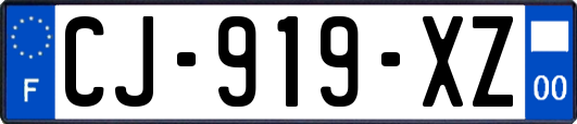 CJ-919-XZ