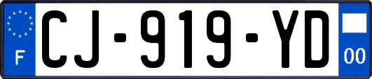 CJ-919-YD