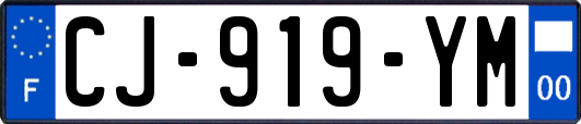 CJ-919-YM