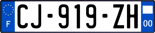 CJ-919-ZH